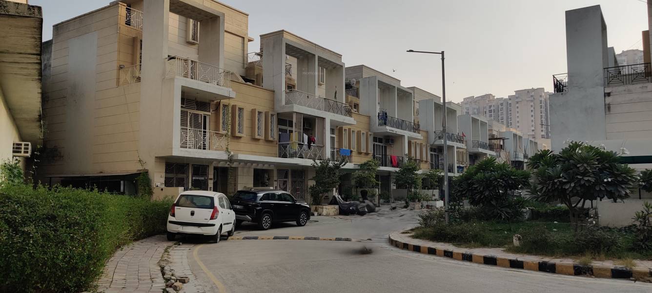  dream valley Elevation