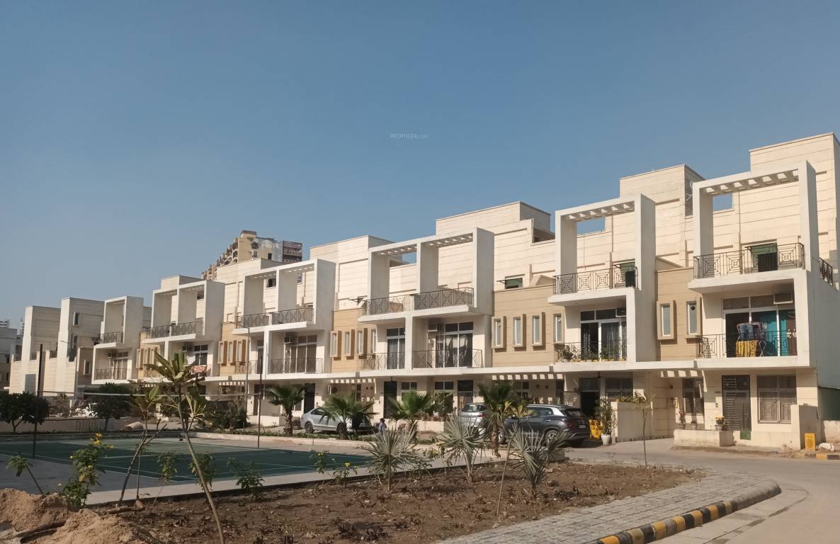  dream valley Elevation