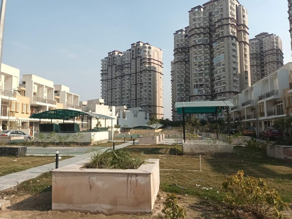  dream valley Landscape Garden and Tree Planting