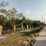  dream-valley Landscape Garden and Tree Planting
