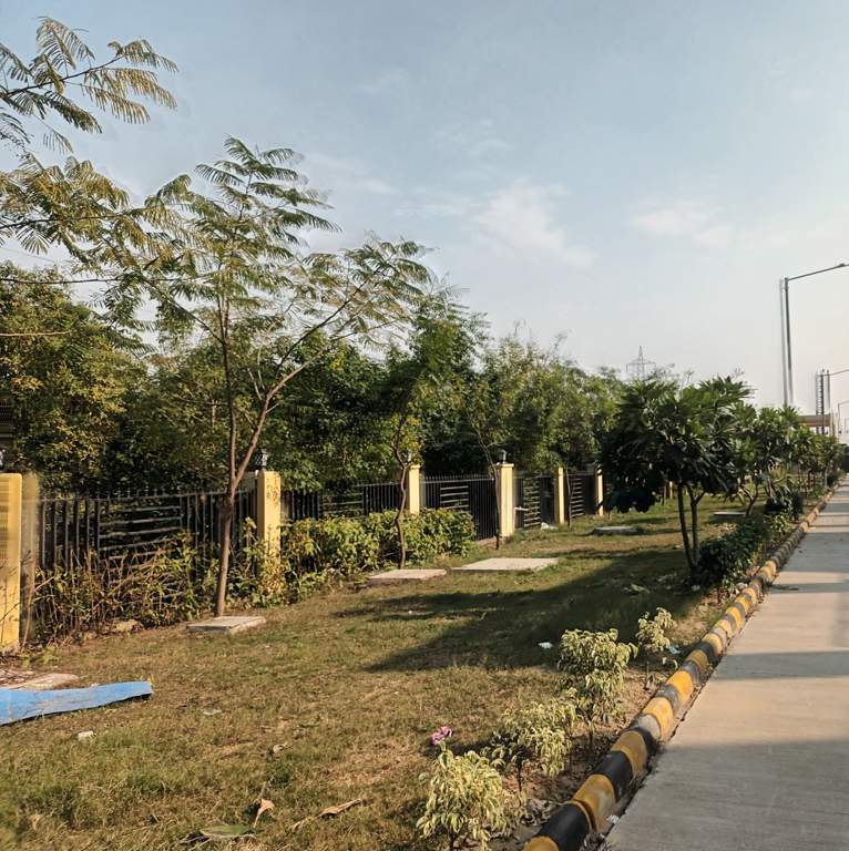  dream valley Landscape Garden and Tree Planting