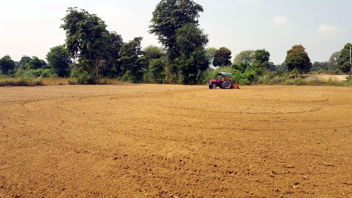 Images for Main Other of Paraiso Orchard City