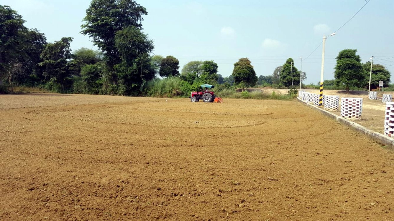 Images for Main Other of Paraiso Orchard City