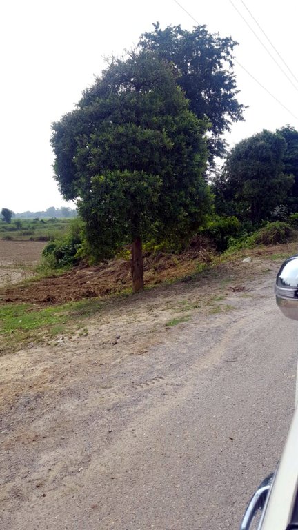 Images for Main Other of Paraiso Orchard City