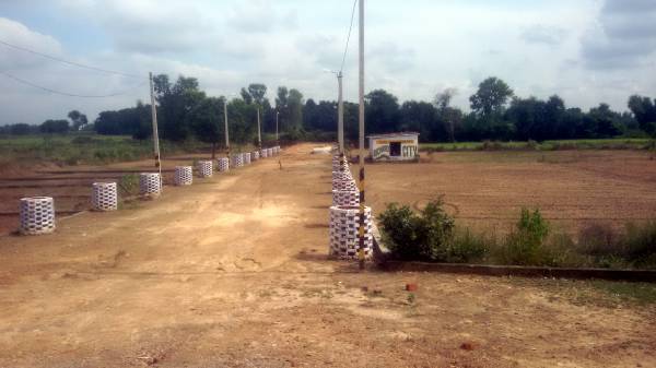 Images for Main Other of Paraiso Orchard City