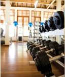 Gymnasium pine-court Gymnasium