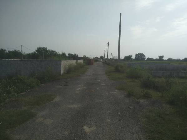  prime-view Images for Project