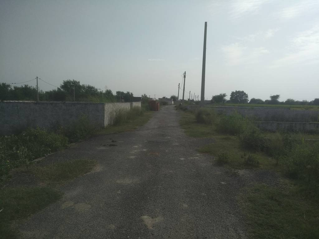 prime view Images for Project