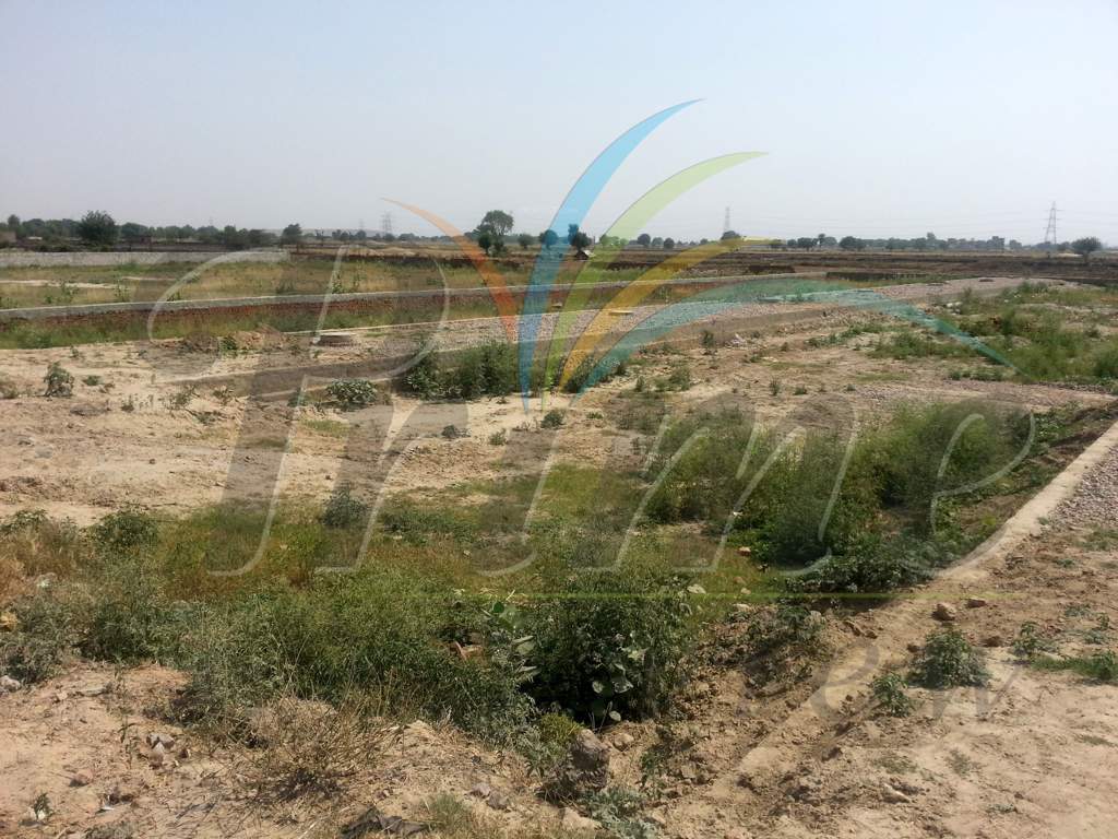 prime view Images for Amenities of Royal Shape Prime View