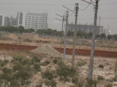 Images for Main Other of Royal Shape Prime View prime-view Images for Main Other of Royal Shape Prime View