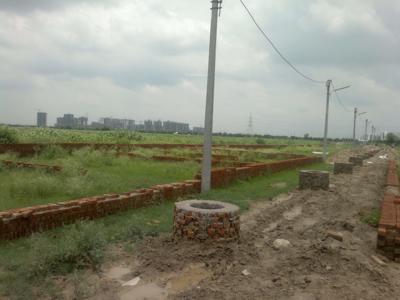 Images for Main Other of Royal Shape Prime View prime-view Images for Main Other of Royal Shape Prime View