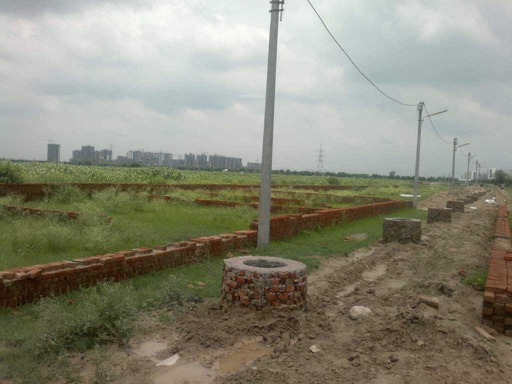 prime view Images for Main Other of Royal Shape Prime View