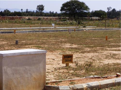 Images for Main Other of KPS Orchid Greens orchid-greens Images for Main Other of KPS Orchid Greens