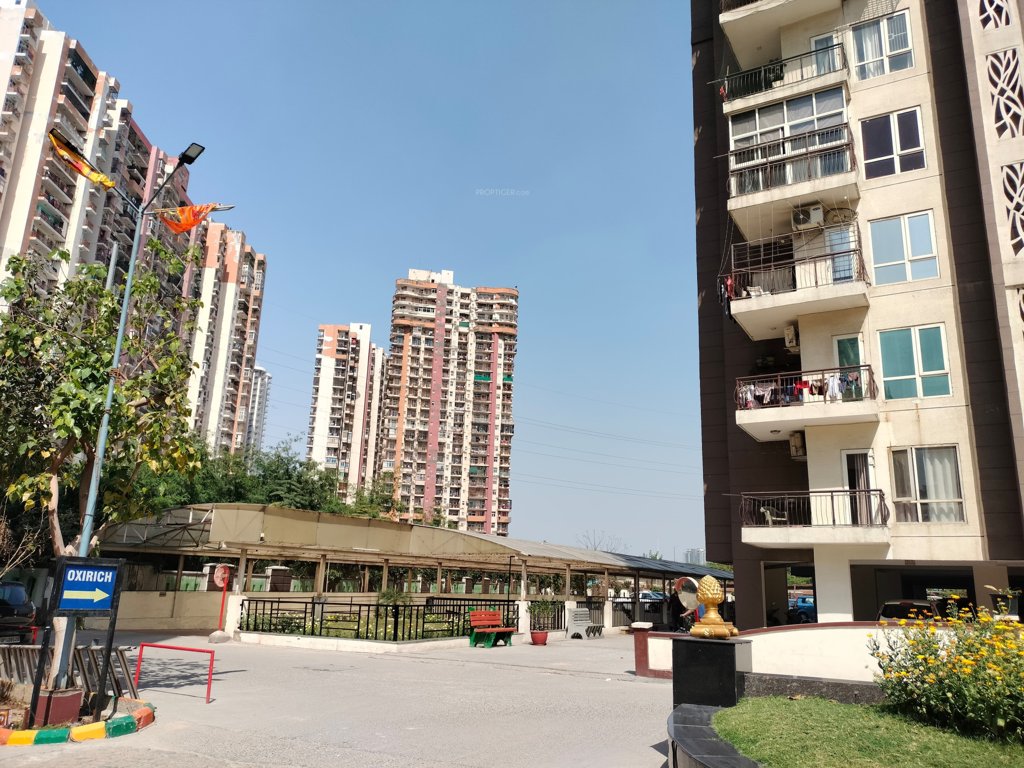  avenue Gated Community