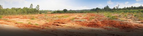 Images for Main Other of M And M Bangalore Krishna Greens Eastwind