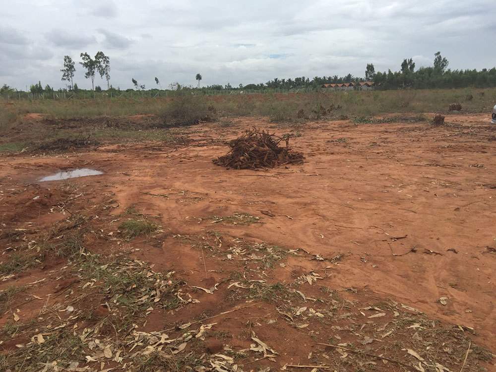 Images for Main Other of M And M Bangalore Krishna Greens Eastwind