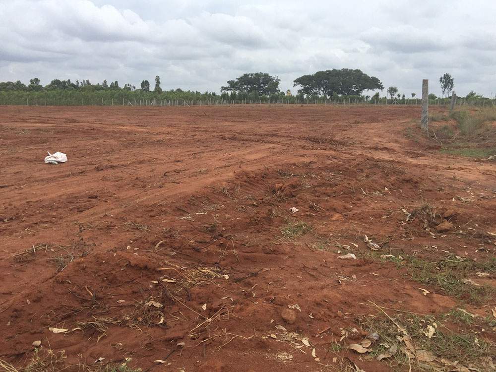 Images for Main Other of M And M Bangalore Krishna Greens Eastwind