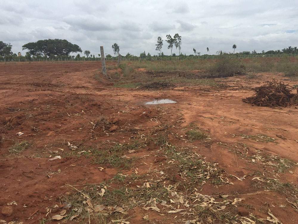 Images for Main Other of M And M Bangalore Krishna Greens Eastwind