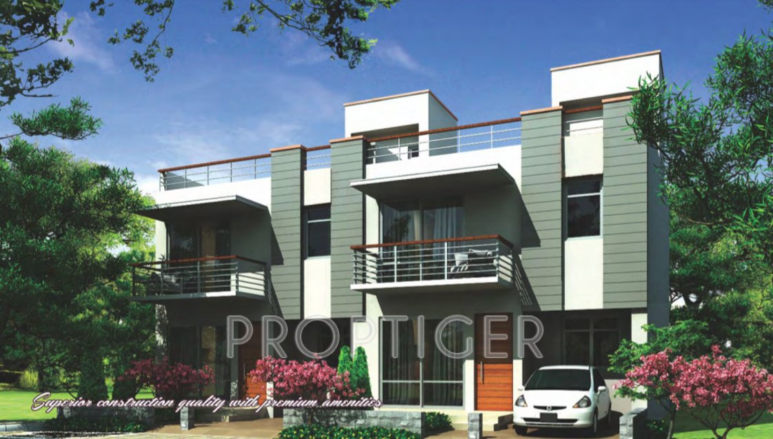 Images for Elevation of Ireo Oyster Floor