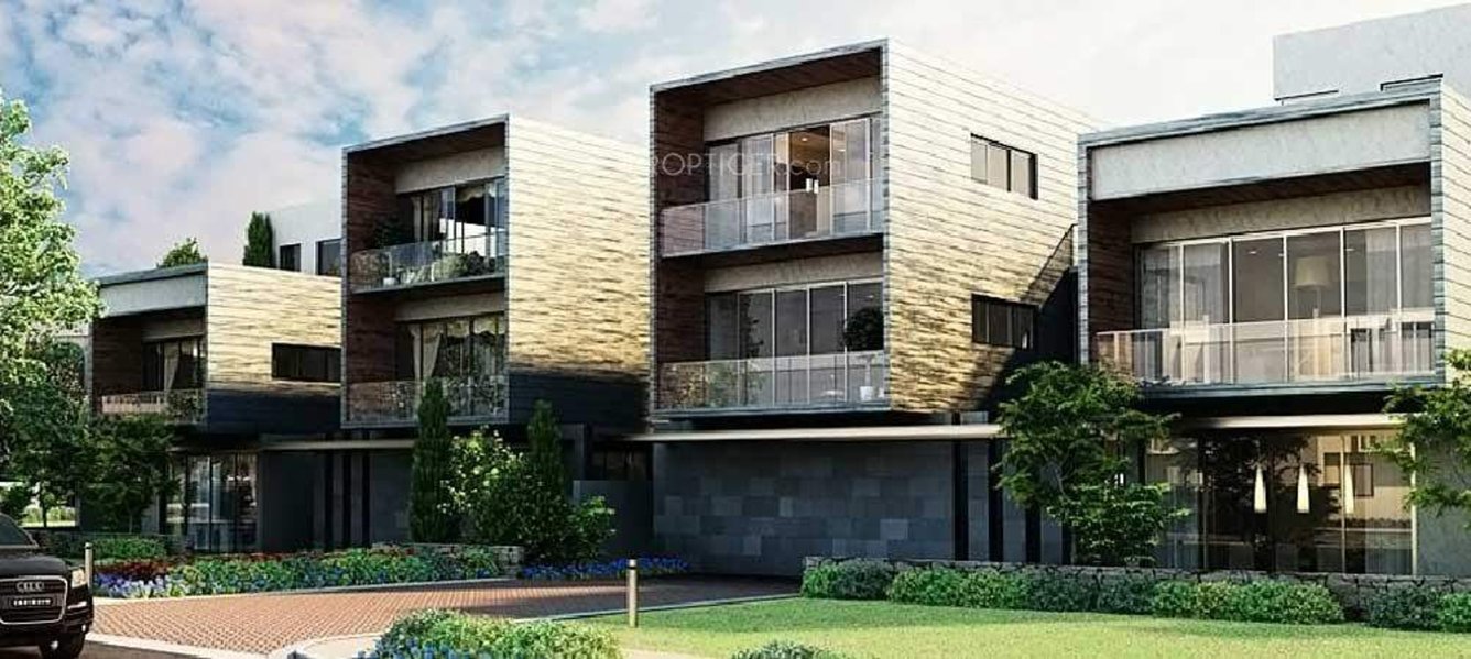 Images for Elevation of Ireo Oyster Floor