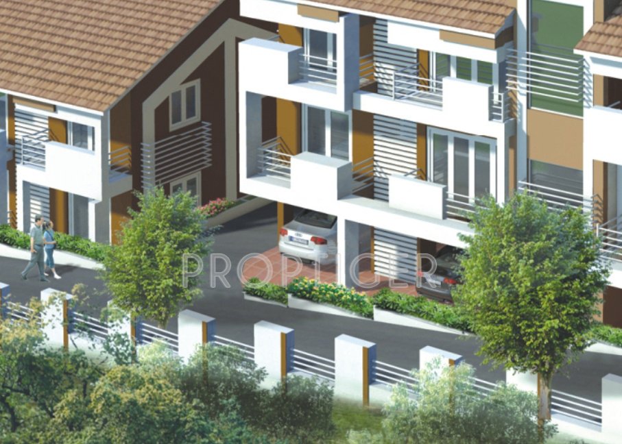 Images for Elevation of Saldanha Marigold