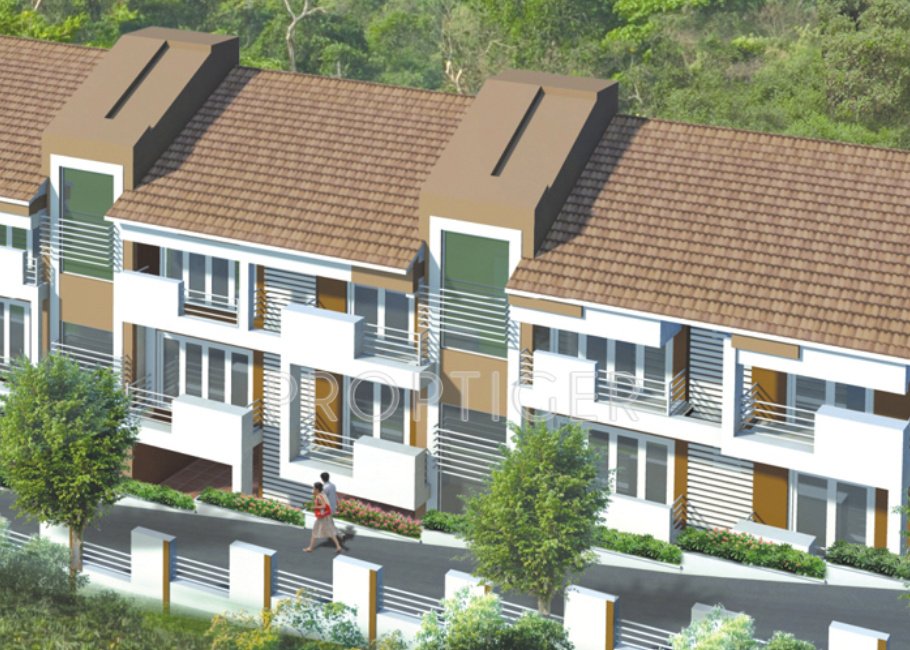 Images for Elevation of Saldanha Marigold