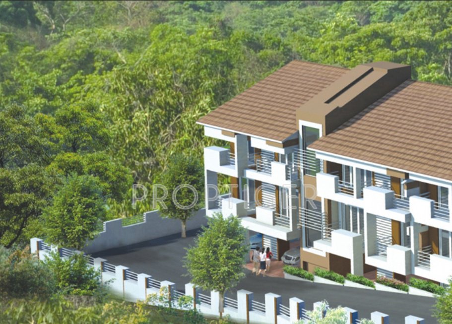 Images for Elevation of Saldanha Marigold