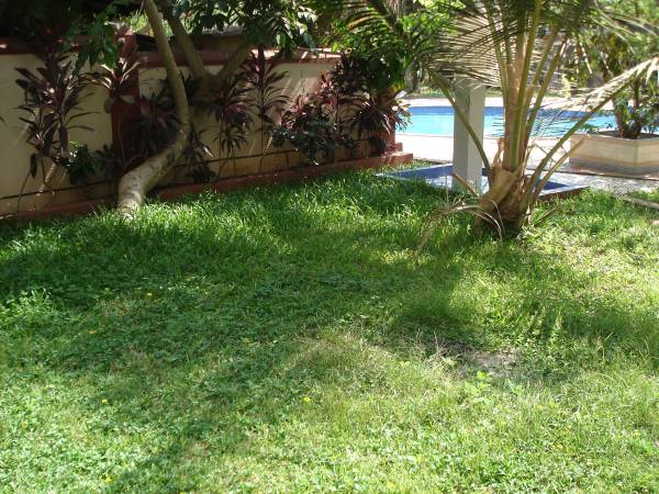 Images for Amenities of Saldanha Orchid Villa