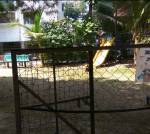 Others  gardenia Others