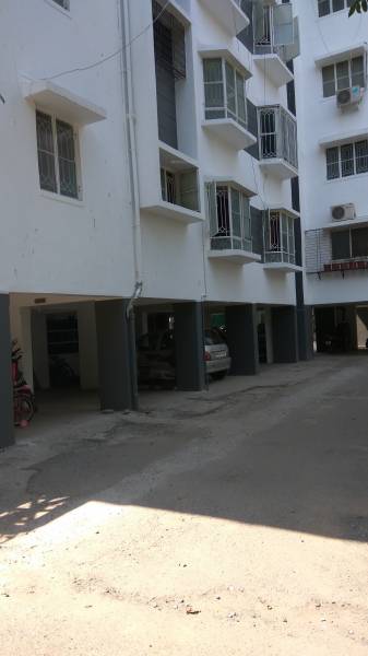 Others gardenia Others