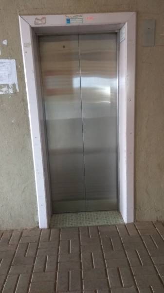 Others gardenia Others