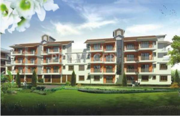 Images for Elevation of Saldanha Orchid