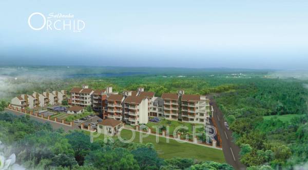 Images for Master Plan of Saldanha Orchid