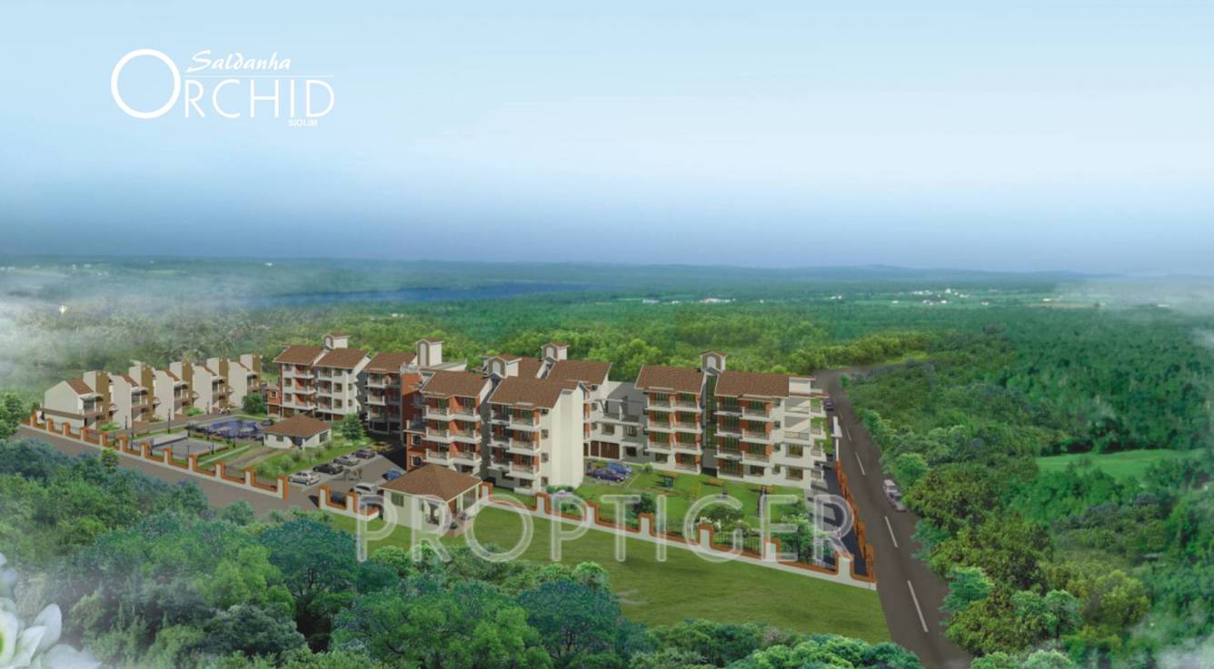 Images for Master Plan of Saldanha Orchid