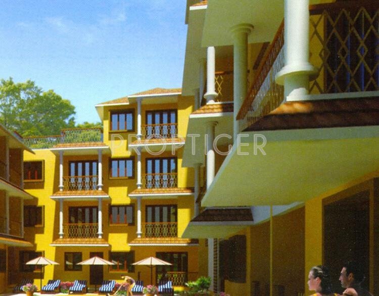  palms Images for Elevation of Saldanha Palms