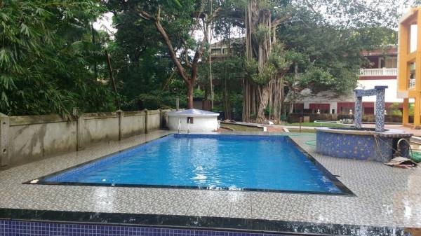 Swimming Pool palms Swimming Pool