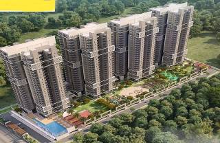 Project Image Project Image