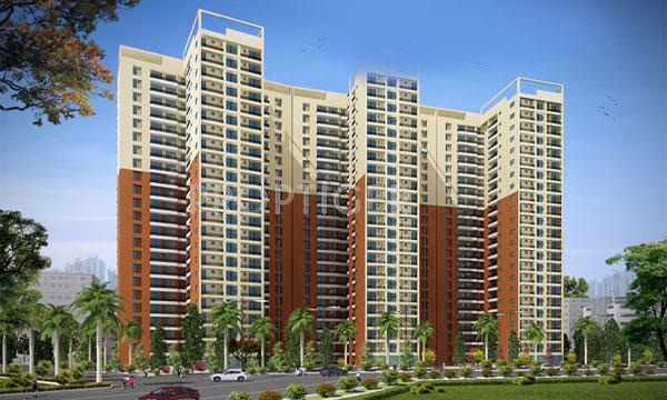 Images for Elevation of Amandeep Aman Fedora