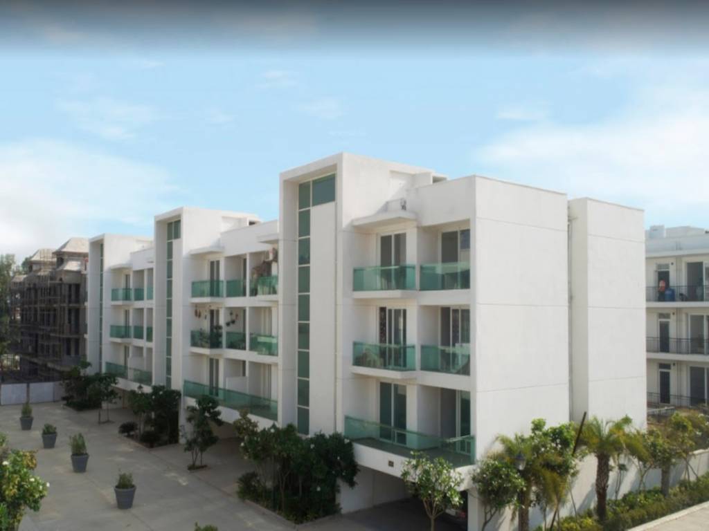  ambrosia floors Elevation