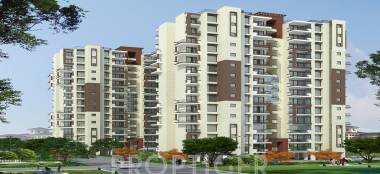 Images for Elevation of Gillco Palms palms Images for Elevation of Gillco Palms
