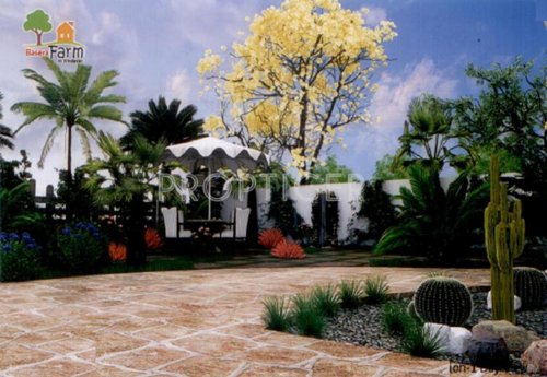 Images for Elevation of Basera Group Basera Farms