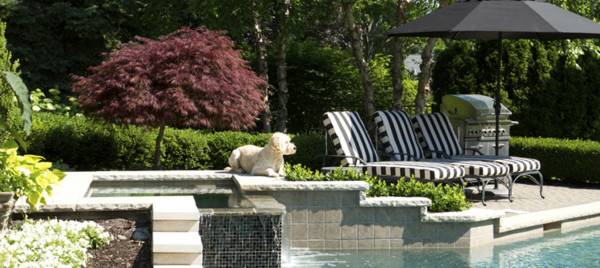 Images for Amenities of Lotus Yardscape Images for Amenities of Lotus Yardscape