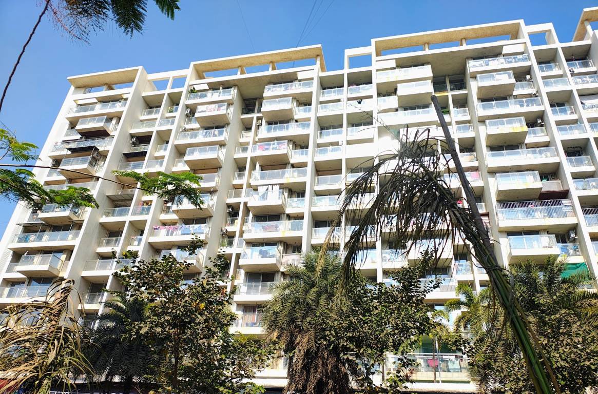  white woods Elevation