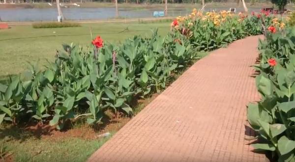  maple-meadows-phase-vi Jogging Track