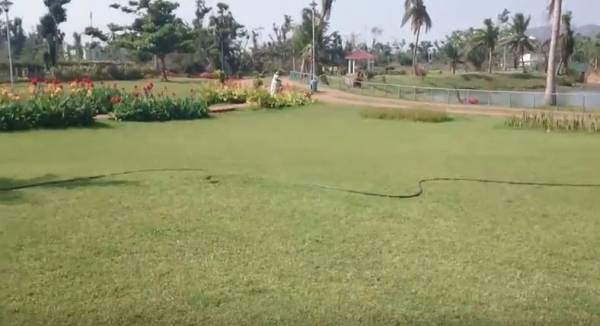  maple-meadows-phase-vi Landscaped Gardens