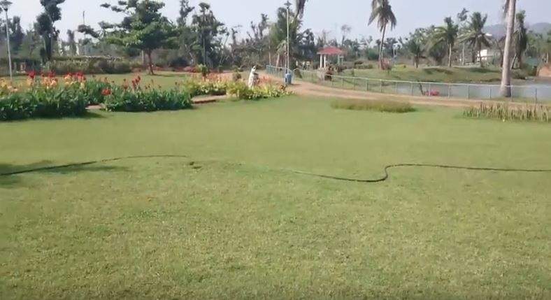  maple meadows phase vi Landscaped Gardens