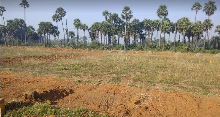  maple meadows phase vi Others