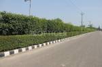  sector-90-and-91-residential-plots Janta Land Promoters Sector 90 And 91 Residential Plots