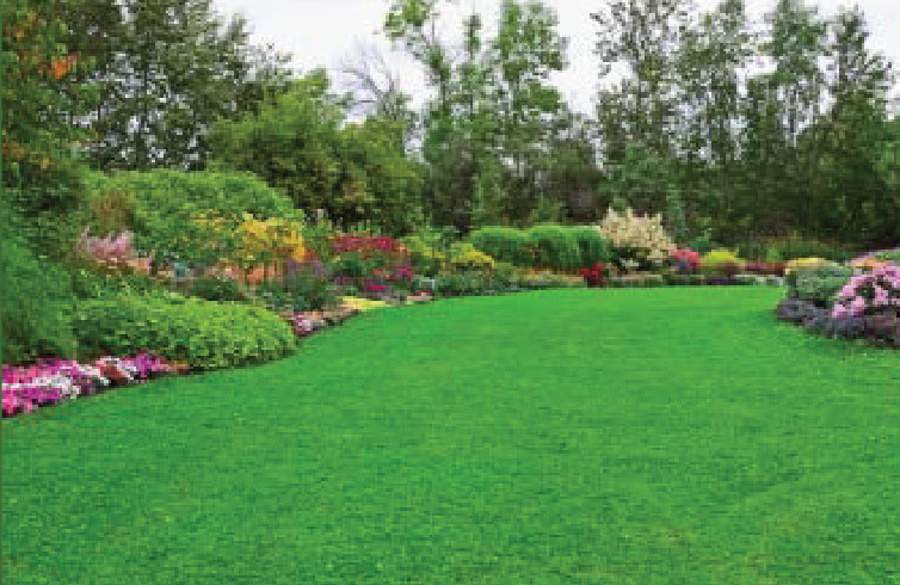 Images for Amenities of Helish Orchid Greens