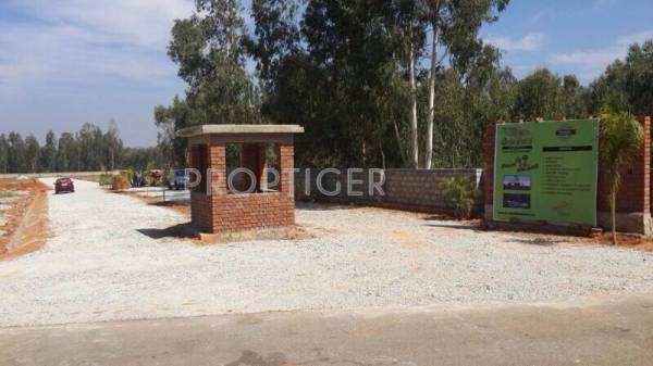 Images for Elevation of Garudadri Palm Island